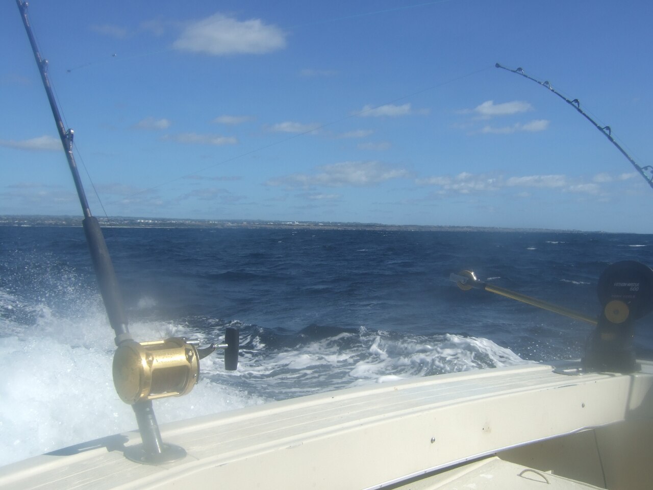 Fishing rods trolling off the back of a charter boat